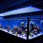 LED-Aquarium-Light-index-2_